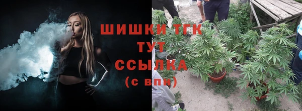 прущие крисы Кодинск