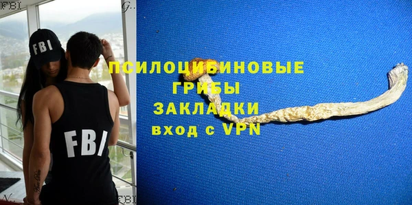прущие крисы Кодинск